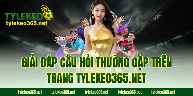 Giải đáp câu hỏi thường gặp trên trang socioconnectmarketing.io
